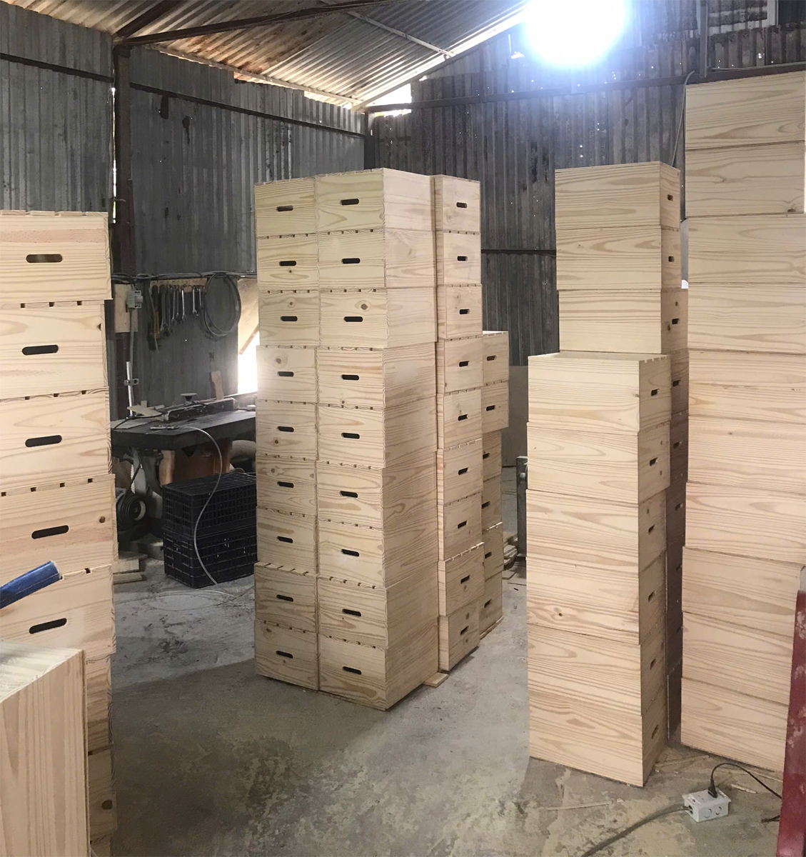 06 Chai: Hộp đựng rượu vang liền – Tel/zalo: (+84) 0934569516